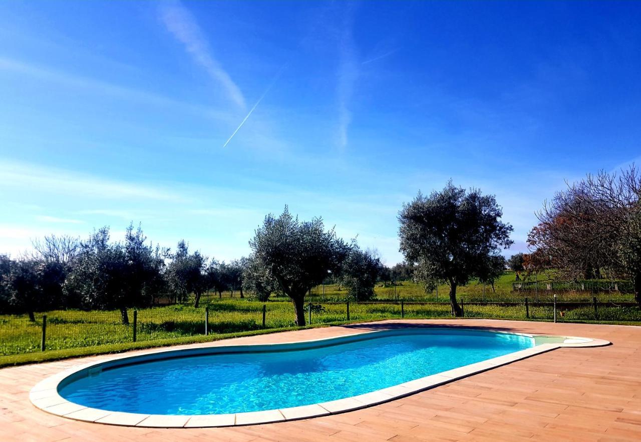 Oliveira Country House Figueira e Barros Exteriér fotografie
