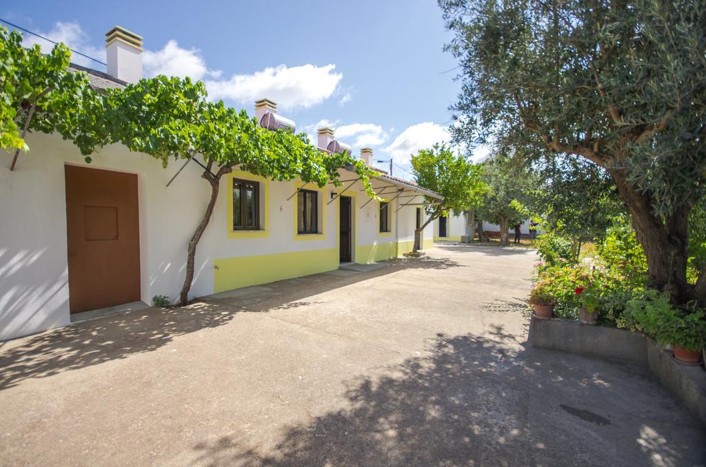 Oliveira Country House Figueira e Barros Pokoj fotografie